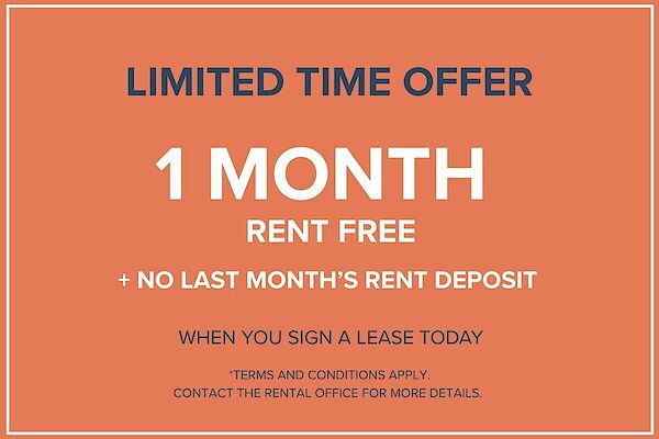 North York 1 bedrooms Apartment for rent. Property photo: 477969-2