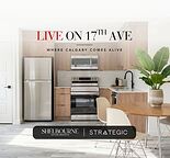 FULLY RENOVATED 1 BEDROOM ON 17th AVE AVAILABLE!