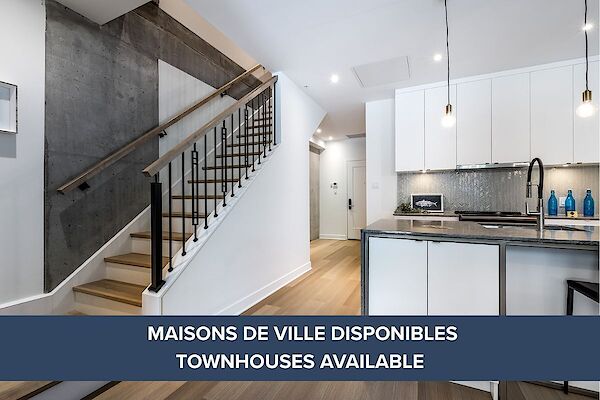 Montr&eacute;al 1 bedrooms Apartment for rent. Property photo: 483673-3