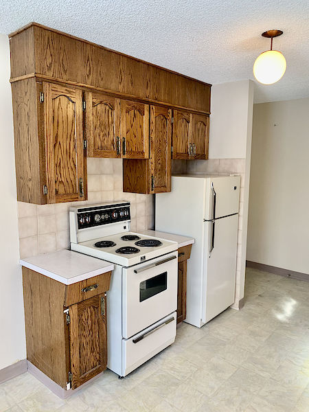 Edmonton 1 bedroom House for rent. Property photo: 487692-2