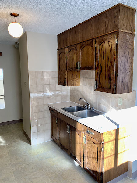 Edmonton 1 bedroom House for rent. Property photo: 487692-3