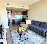Fully Furnished - Beautiful One Bedroom Condo in heart of Downtown
