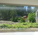 5 mins walk to U of C and Brentwood Ctrain station, all included