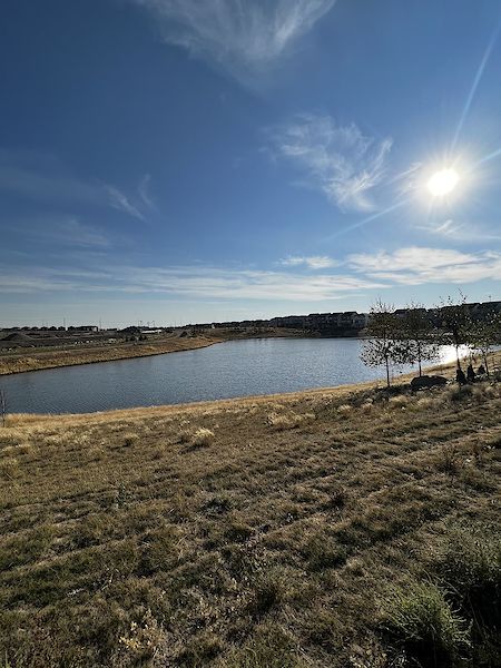 Calgary 3 bedrooms Main Floor for rent. Property photo: 498744-3