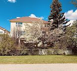 Legalized walkout basement, back onto park and school , furnished optional