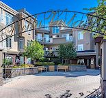 Stunning and cozy One bedroom in Bankview
