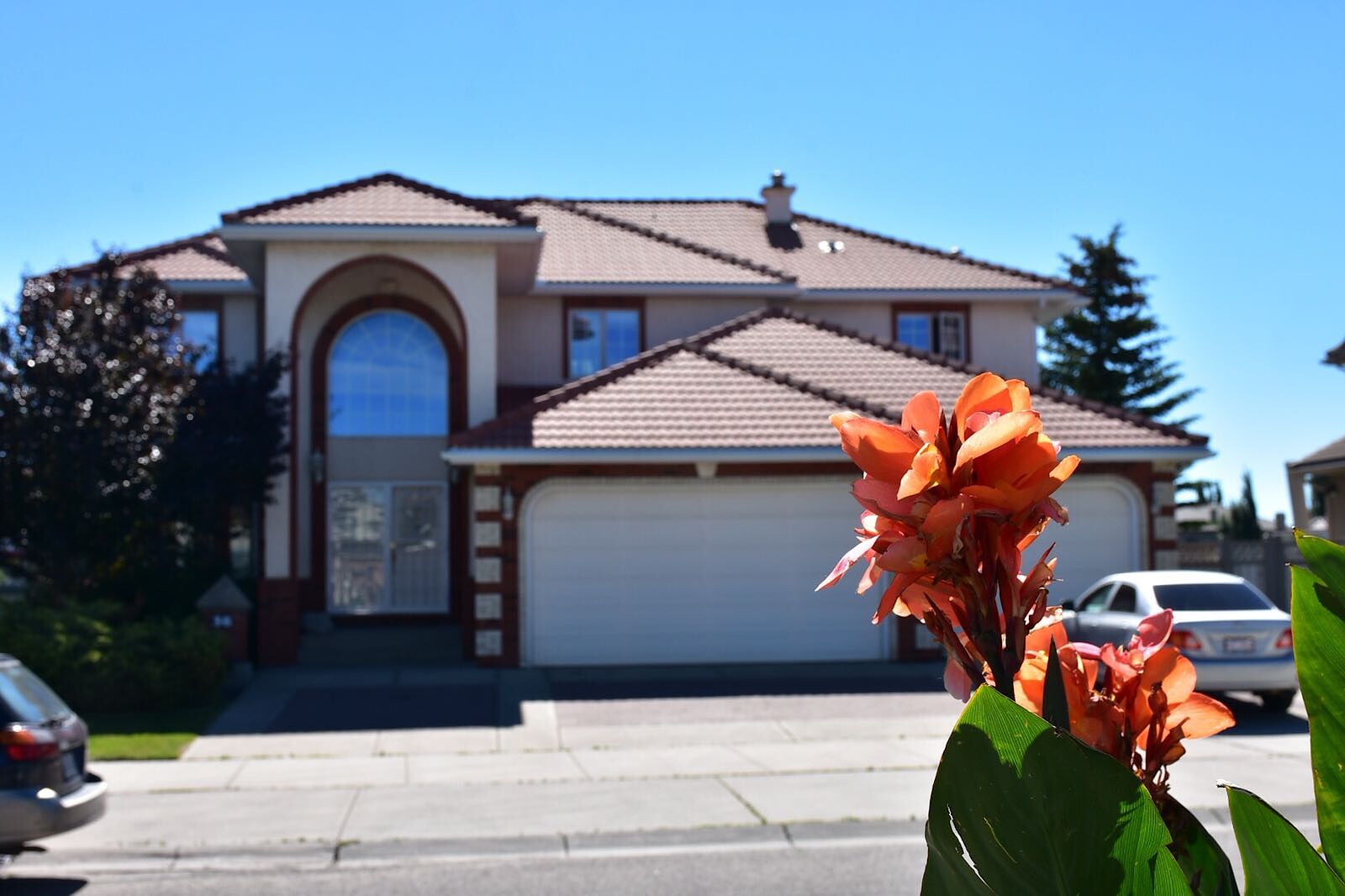 Calgary 1 bedroom Room For Rent for rent. Property photo: 505508-1