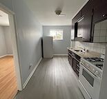 Spacious 1 bedroom 1 bath basement suite - Renfrew