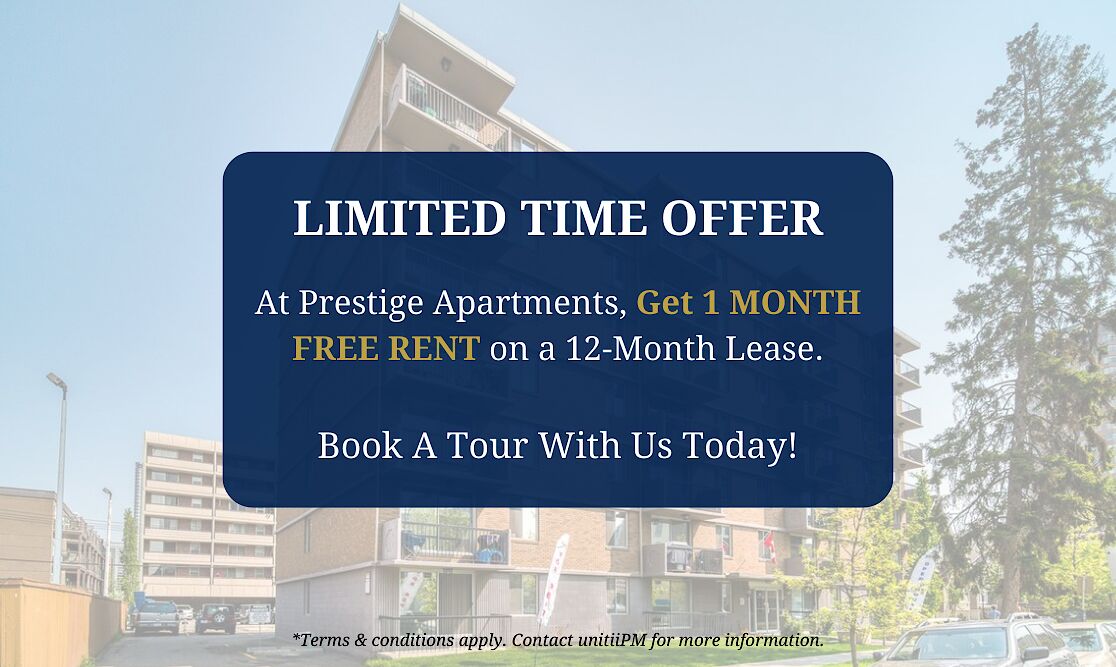 Calgary 1 bedroom Apartment for rent. Property photo: 508378-1