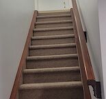 Cozy 1 Bedroom Basement in Panorama Hills - All Inclusive Rent
