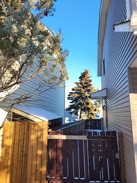 Calgary 3 bedrooms House for rent. Property photo: 510401-3