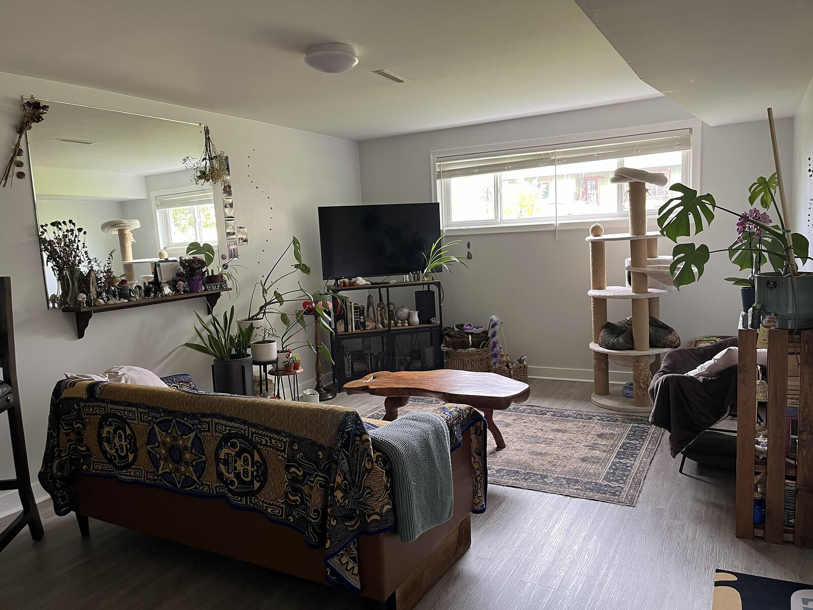 Calgary 2 bedrooms Basement for rent. Property photo: 513204-1
