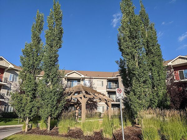Calgary 2 bedrooms Condo Unit for rent. Property photo: 513262-3