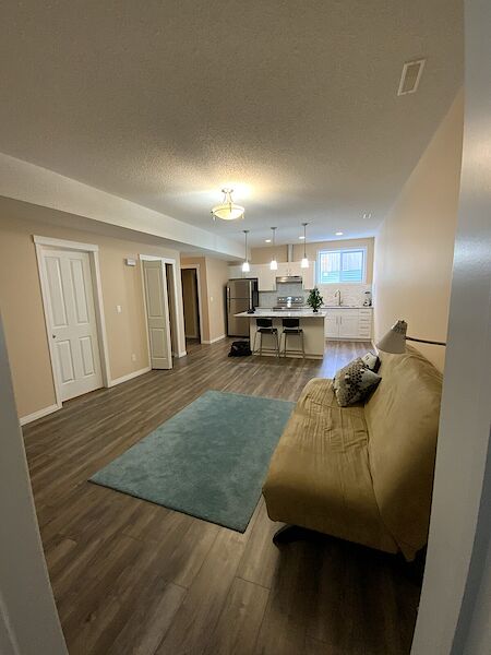 Spacious 3 Bedroom Basement Condo next to University and LRT
