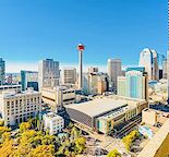Heart of downtown; 1-bedroom downtown condo- 750sqfs