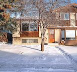 1 Bedroom + Den Basement suite in Beddington Heights