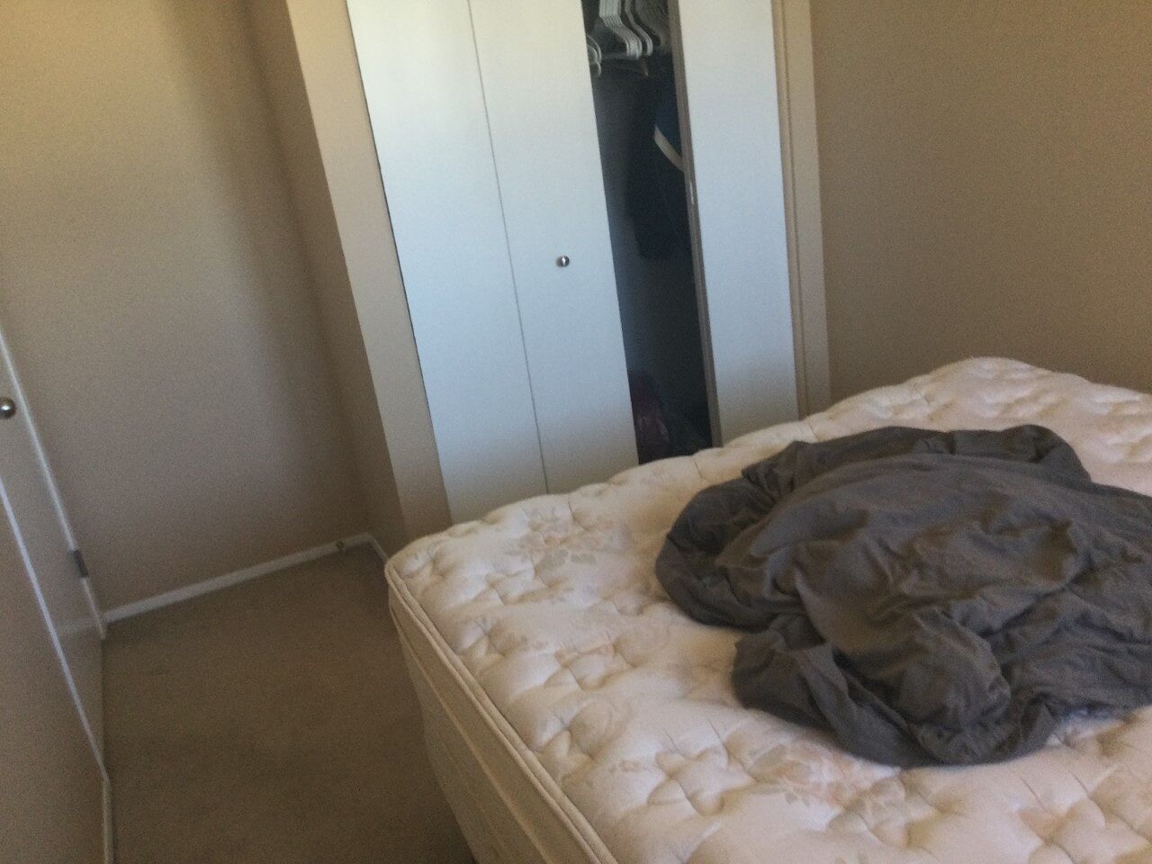 Calgary 2 bedrooms Room For Rent for rent. Property photo: 518429-1