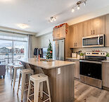 AUBURN BAY - Auburn Rise - 2 Bed with UG Parking, Storage and Lake Access