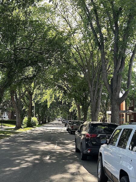 Edmonton 1 bedroom Apartment for rent. Property photo: 522839-3