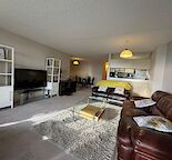 Furnished 25th Flr, South - 1 Bed 805 SF Downtown Condo Unit with Large Balcony