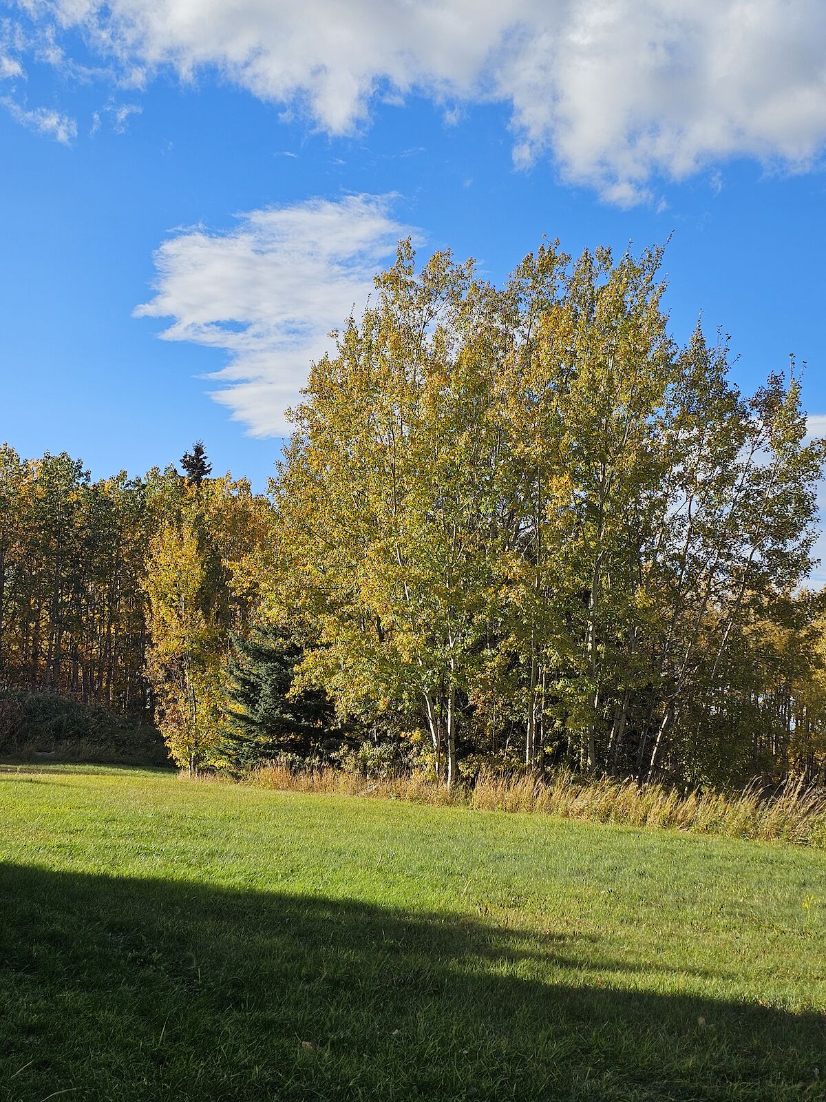 Calgary 1 bedroom Acreage for rent. Property photo: 527399-1