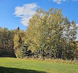 Quiet Bearspaw Acreage available September 1