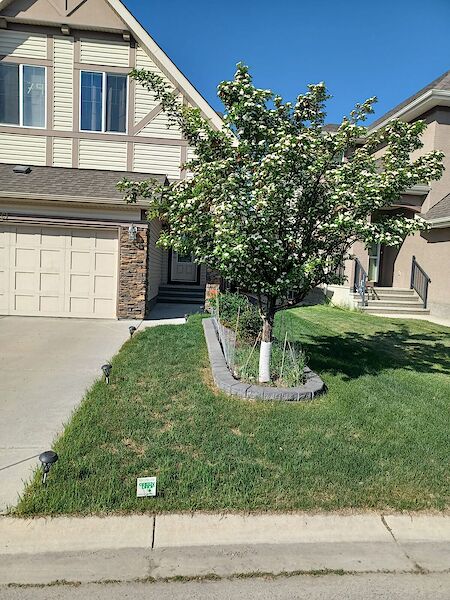 Calgary 1 bedroom Basement for rent. Property photo: 527430-3