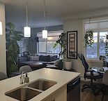 Spacious Condo-Style Apartments on Centre St