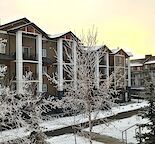 cozy 2-bedroom Panorama condo