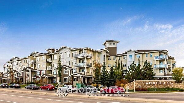 Calgary 2 bedrooms Condo Unit for rent. Property photo: 530510-2