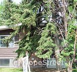 2 Bedroom Condo for Rent in University Heights