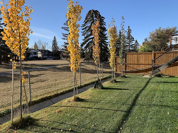 Calgary 3 bedrooms Main Floor for rent. Property photo: 533058-2