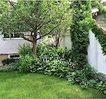 Modern 2-bedroom lower suite. Fantastic Location in Brentwood!