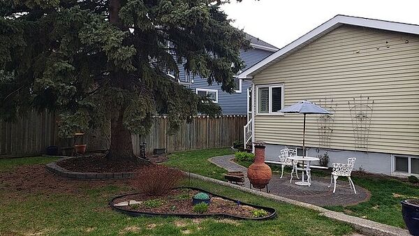 Calgary 2 bedrooms Main Floor for rent. Property photo: 535049-2