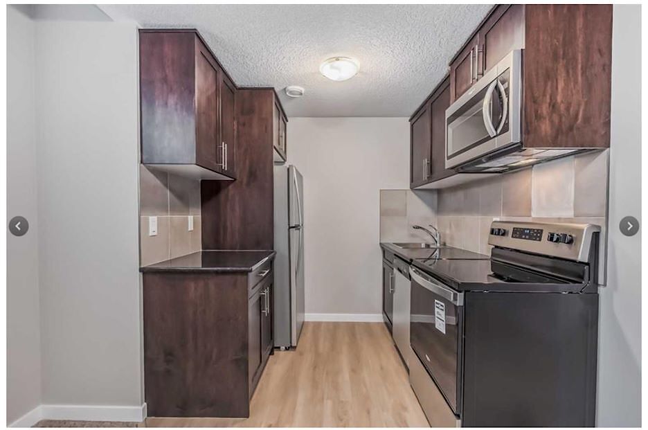 Calgary 1 bedroom Basement for rent. Property photo: 535721-1