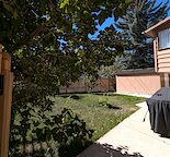 NEWLY REDUCED - Bright, Spacious Walkout Basement Suite