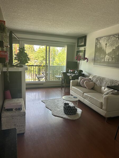 Calgary 1 bedroom Condo Unit for rent. Property photo: 538044-2