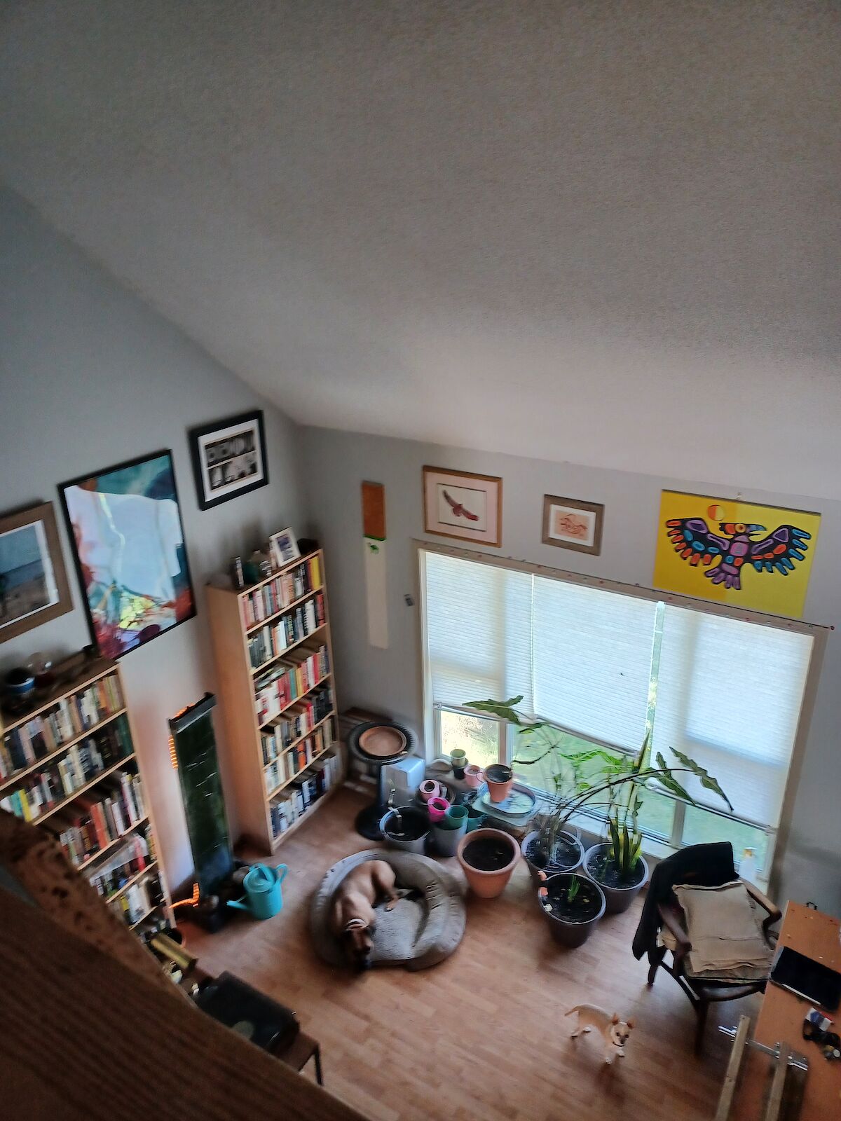 Calgary 3 bedrooms Room For Rent for rent. Property photo: 538174-1
