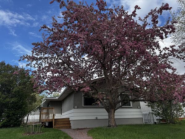Calgary 3 bedrooms Main Floor for rent. Property photo: 538789-3