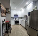 Spacious One bedroom, One Bathroom Basement with spacious Outdoor space
