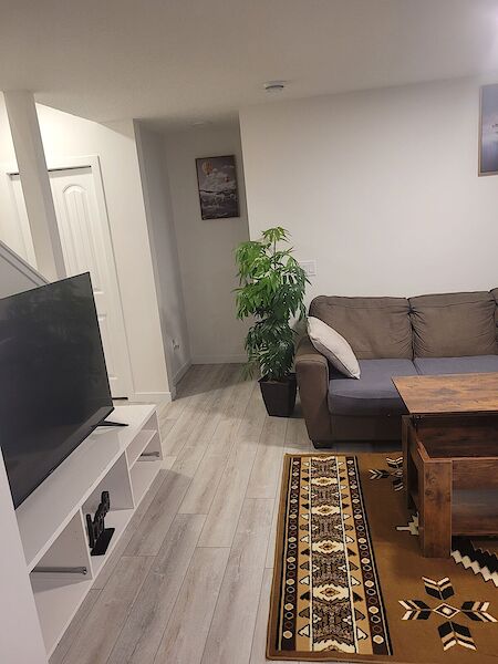 Calgary 2 bedrooms Basement for rent. Property photo: 541395-3