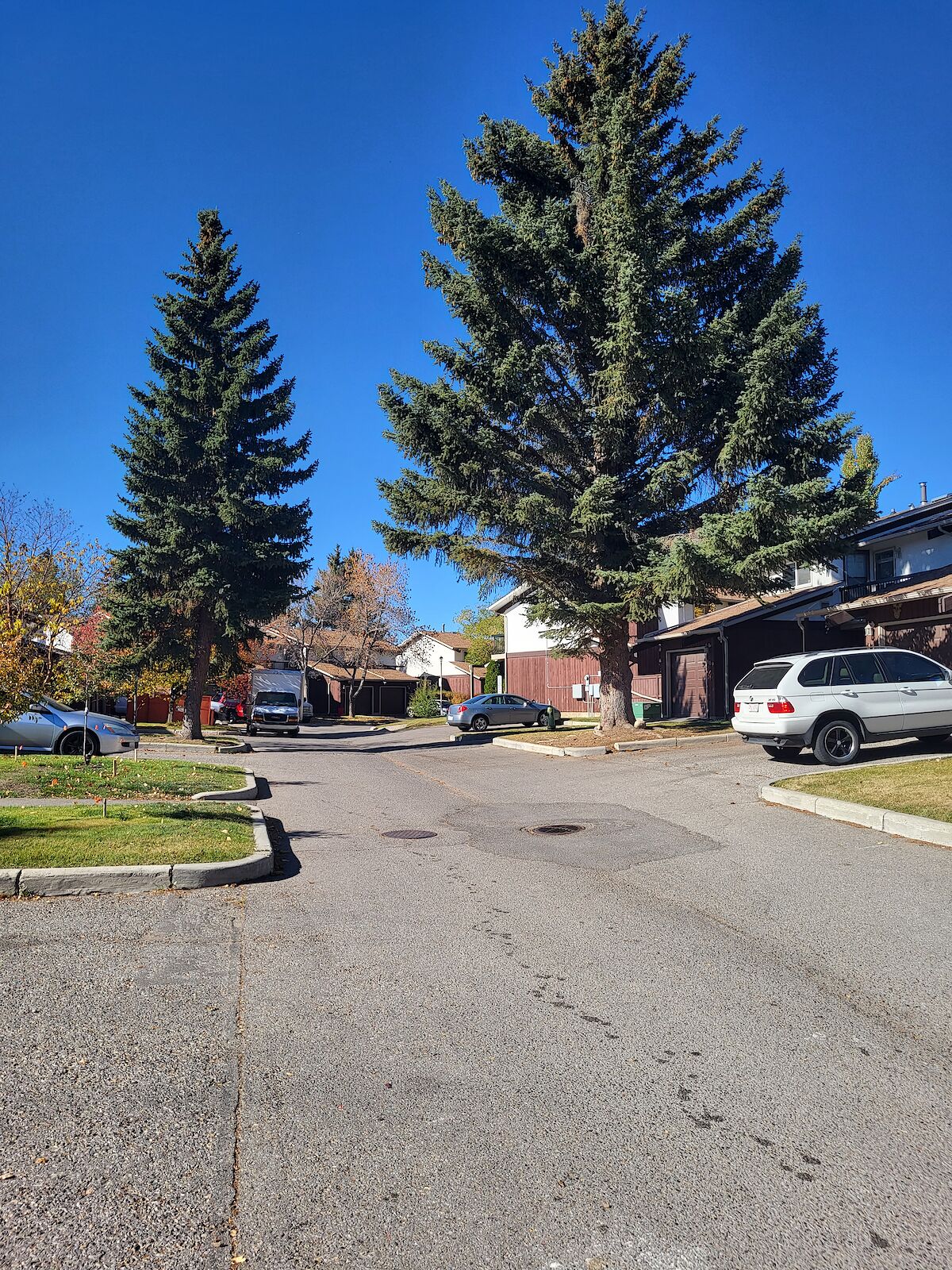 Calgary 3 bedrooms Townhouse for rent. Property photo: 541678-1