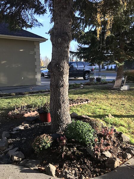 Calgary 3 bedrooms Main Floor for rent. Property photo: 541766-2