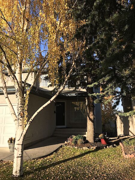 Calgary 3 bedrooms Main Floor for rent. Property photo: 541766-3