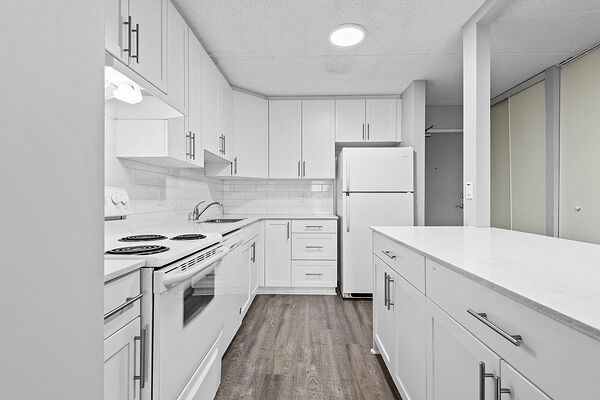 Edmonton 1 bedroom Condo Unit for rent. Property photo: 542688-2