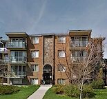 Renovated 1 Bedroom in Sunalta T3C 0N4