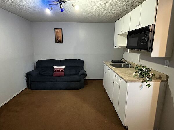 Calgary 1 bedroom Basement for rent. Property photo: 543935-3