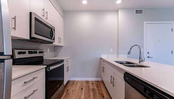 Edmonton 1 bedrooms Apartment for rent. Property photo: 545597-3