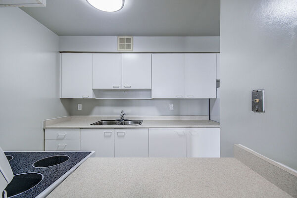 Newmarket 4 bedrooms Apartment for rent. Property photo: 547457-2