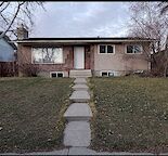 Newly renovated cozy basement for rent
